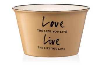 Бульйонниця Ardesto Way of life, 550мл, кераміка, коричневий світлий